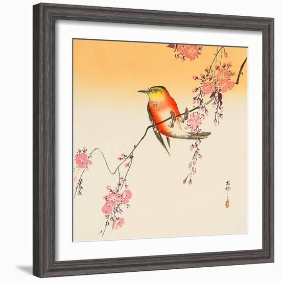 Red Bird and Cherry Blossoms-Koson Ohara-Framed Premium Giclee Print