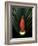 Red Bird of Paradise and Palm Leaf Isolated-Christian Slanec-Framed Photographic Print