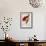 Red Bird of Paradise, Paradisaea Rubra-Jacques Barraband-Framed Giclee Print displayed on a wall