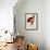 Red Bird of Paradise, Paradisaea Rubra-Jacques Barraband-Framed Giclee Print displayed on a wall