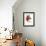 Red Bird-Of-Paradise-null-Framed Giclee Print displayed on a wall