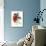 Red Bird-Of-Paradise-null-Giclee Print displayed on a wall
