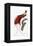 Red Bird of Paradise-Jacques Barraband-Framed Premier Image Canvas