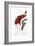 Red Bird of Paradise-Jacques Barraband-Framed Giclee Print