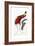 Red Bird of Paradise-Jacques Barraband-Framed Giclee Print