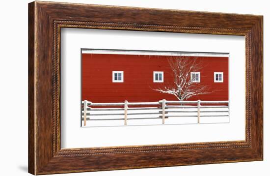 Red Bitterroot Barn-Jason Savage-Framed Giclee Print