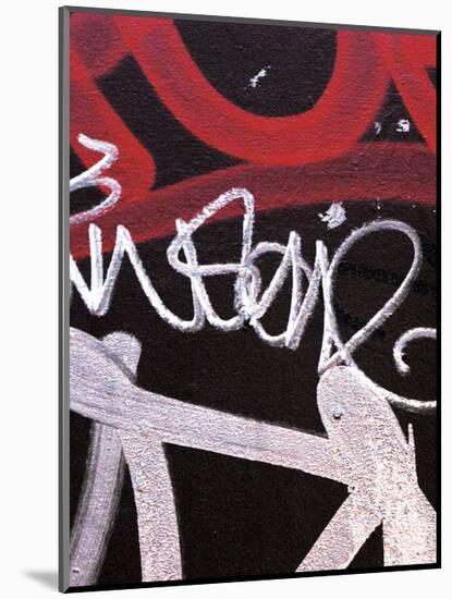 Red Black Tag 1-Jenny Kraft-Mounted Art Print