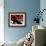 Red Black Tag II-Jenny Kraft-Framed Giclee Print displayed on a wall