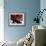 Red Black Tag II-Jenny Kraft-Framed Giclee Print displayed on a wall