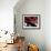 Red Black Tag II-Jenny Kraft-Framed Giclee Print displayed on a wall