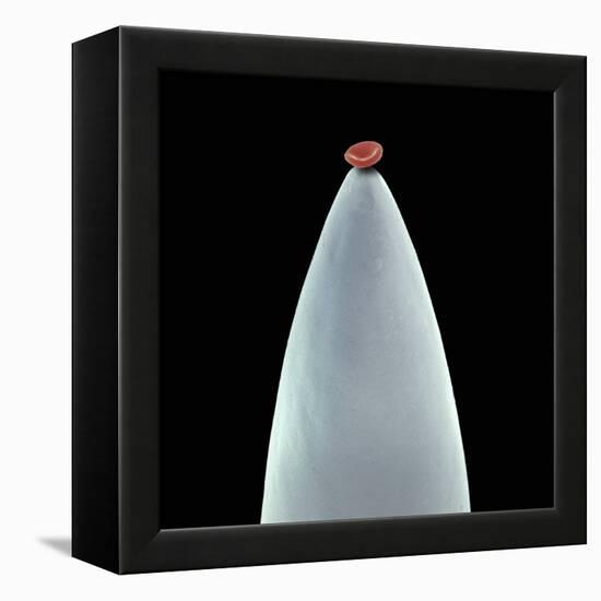 Red Blood Cell on a Needle, SEM-Steve Gschmeissner-Framed Premier Image Canvas