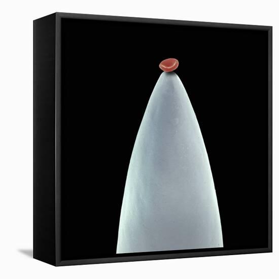 Red Blood Cell on a Needle, SEM-Steve Gschmeissner-Framed Premier Image Canvas