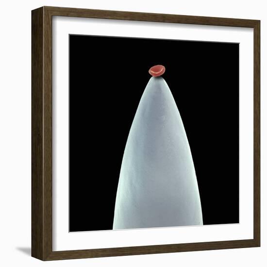 Red Blood Cell on a Needle, SEM-Steve Gschmeissner-Framed Premium Photographic Print