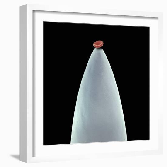 Red Blood Cell on a Needle, SEM-Steve Gschmeissner-Framed Premium Photographic Print