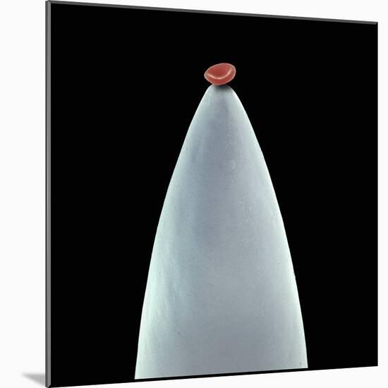 Red Blood Cell on a Needle, SEM-Steve Gschmeissner-Mounted Premium Photographic Print