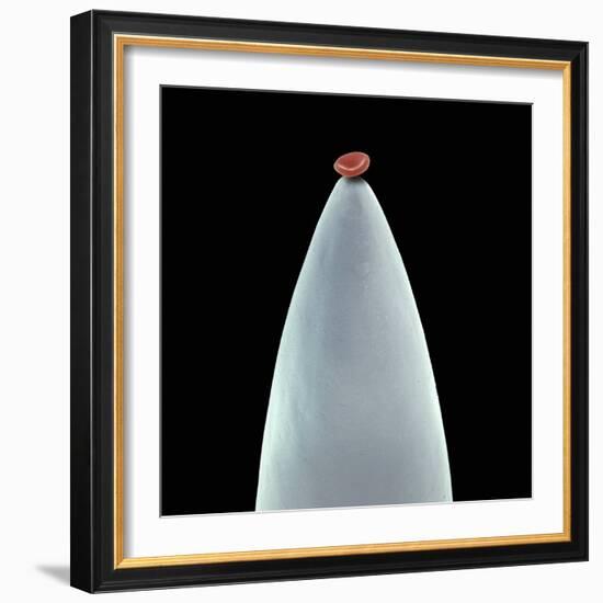 Red Blood Cell on a Needle, SEM-Steve Gschmeissner-Framed Premium Photographic Print