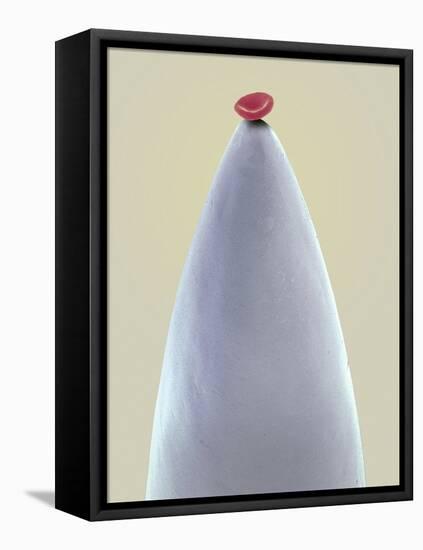 Red Blood Cell on a Needle, SEM-Steve Gschmeissner-Framed Premier Image Canvas