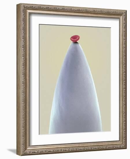 Red Blood Cell on a Needle, SEM-Steve Gschmeissner-Framed Photographic Print