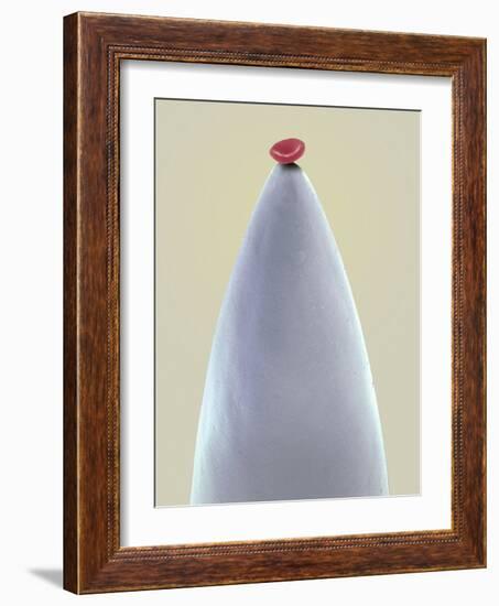 Red Blood Cell on a Needle, SEM-Steve Gschmeissner-Framed Photographic Print