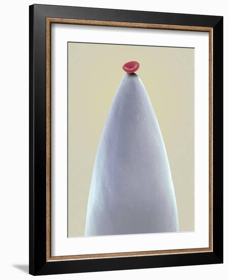 Red Blood Cell on a Needle, SEM-Steve Gschmeissner-Framed Photographic Print