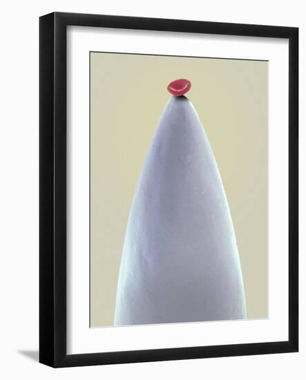 Red Blood Cell on a Needle, SEM-Steve Gschmeissner-Framed Photographic Print