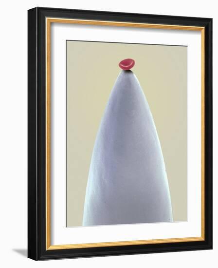 Red Blood Cell on a Needle, SEM-Steve Gschmeissner-Framed Photographic Print