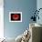 Red Blood Cell, SEM-Steve Gschmeissner-Framed Photographic Print displayed on a wall