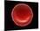 Red Blood Cell, SEM-Steve Gschmeissner-Mounted Photographic Print