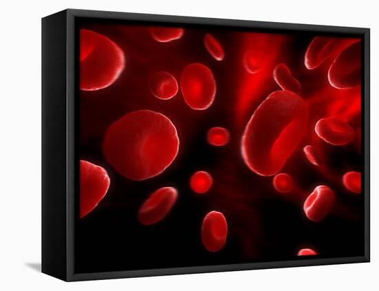 Red Blood Cells, Artwork-SCIEPRO-Framed Premier Image Canvas