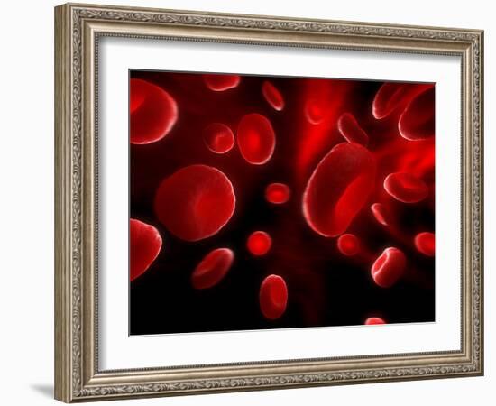 Red Blood Cells, Artwork-SCIEPRO-Framed Photographic Print