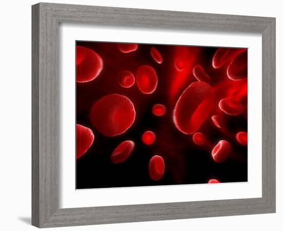 Red Blood Cells, Artwork-SCIEPRO-Framed Photographic Print