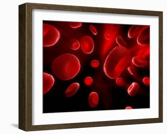 Red Blood Cells, Artwork-SCIEPRO-Framed Photographic Print