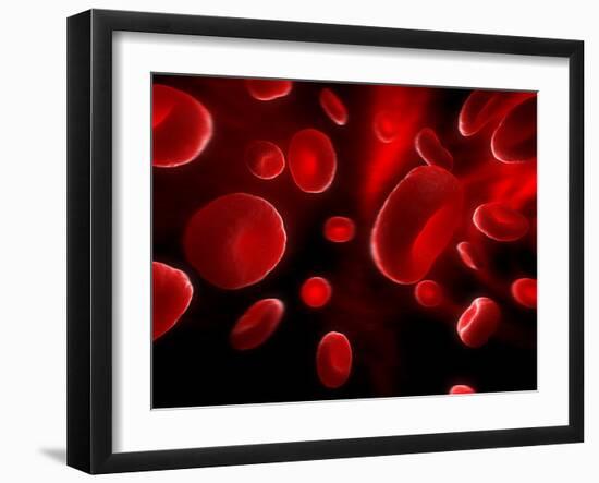 Red Blood Cells, Artwork-SCIEPRO-Framed Photographic Print