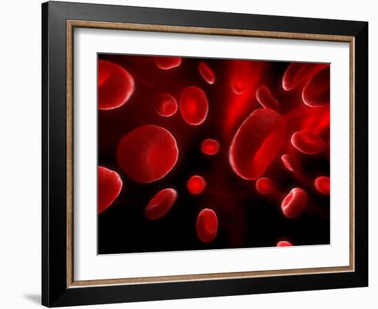 Red Blood Cells, Artwork-SCIEPRO-Framed Photographic Print