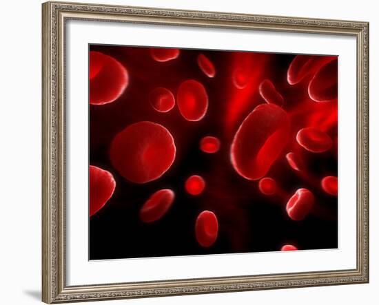 Red Blood Cells, Artwork-SCIEPRO-Framed Photographic Print