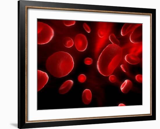 Red Blood Cells, Artwork-SCIEPRO-Framed Photographic Print