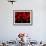 Red Blood Cells, Artwork-SCIEPRO-Framed Photographic Print displayed on a wall