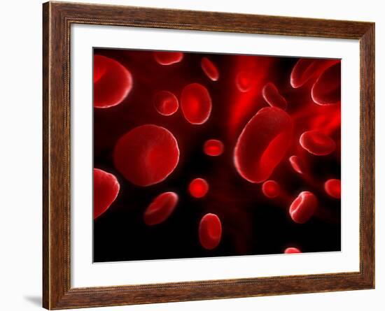 Red Blood Cells, Artwork-SCIEPRO-Framed Photographic Print