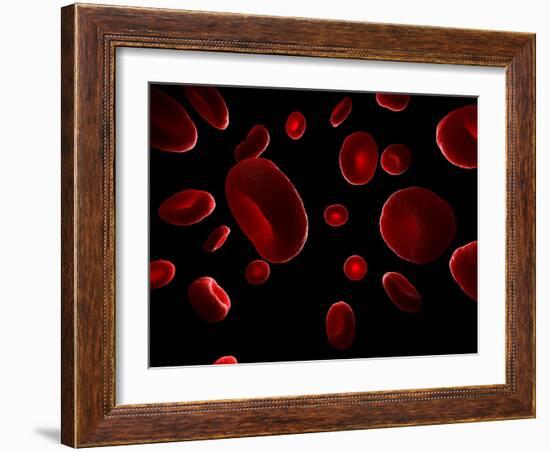 Red Blood Cells, Artwork-SCIEPRO-Framed Photographic Print