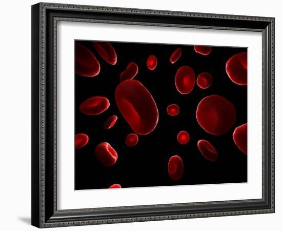 Red Blood Cells, Artwork-SCIEPRO-Framed Photographic Print