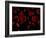 Red Blood Cells, Artwork-SCIEPRO-Framed Photographic Print