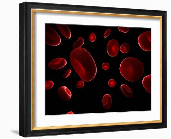 Red Blood Cells, Artwork-SCIEPRO-Framed Photographic Print