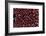 Red Blood Cells, SEM-Dr. Yorgos Nikas-Framed Photographic Print