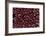 Red Blood Cells, SEM-Dr. Yorgos Nikas-Framed Photographic Print