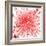 Red Blood Cells-Mehau Kulyk-Framed Premium Photographic Print