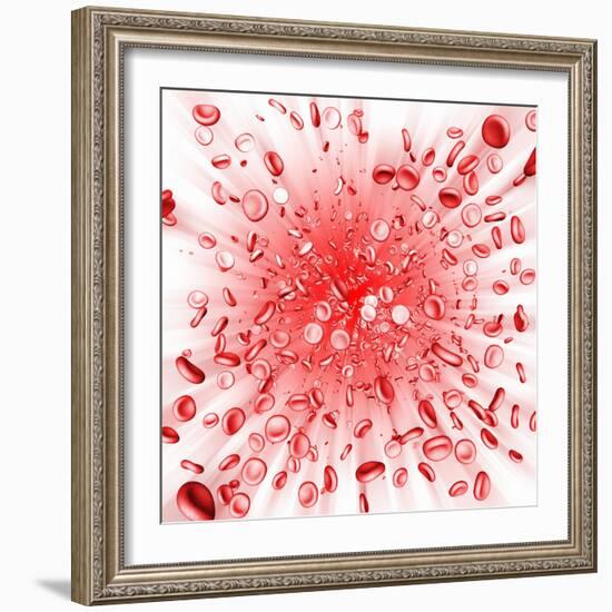 Red Blood Cells-Mehau Kulyk-Framed Premium Photographic Print