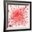 Red Blood Cells-Mehau Kulyk-Framed Premium Photographic Print