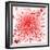 Red Blood Cells-Mehau Kulyk-Framed Premium Photographic Print