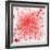 Red Blood Cells-Mehau Kulyk-Framed Premium Photographic Print