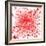 Red Blood Cells-Mehau Kulyk-Framed Premium Photographic Print